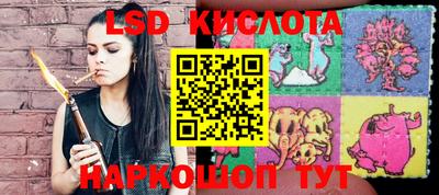 mdpv Кингисепп