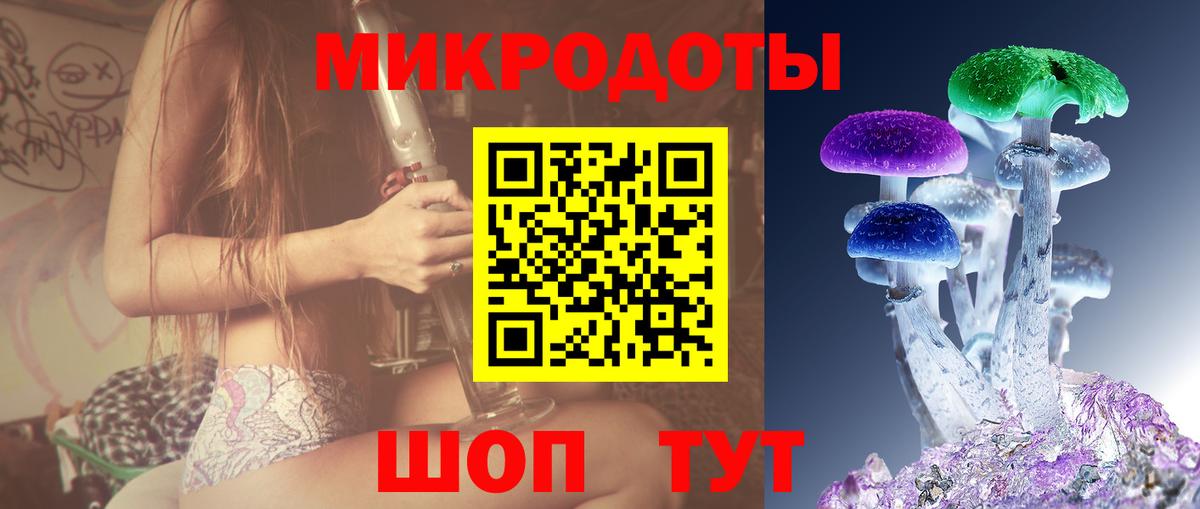 Волжск  магазин    Вход с VPN  Галлюциногенные грибы Cubensis 
